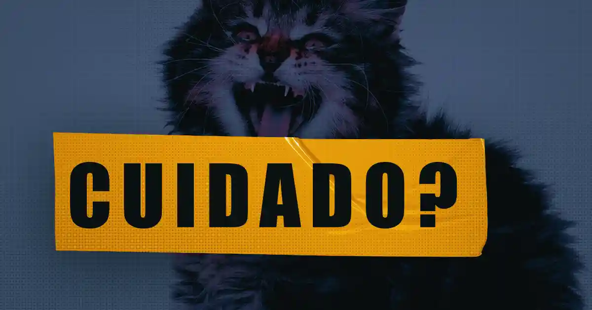 100 Sons de Gato: Descubra a Linguagem Felina!