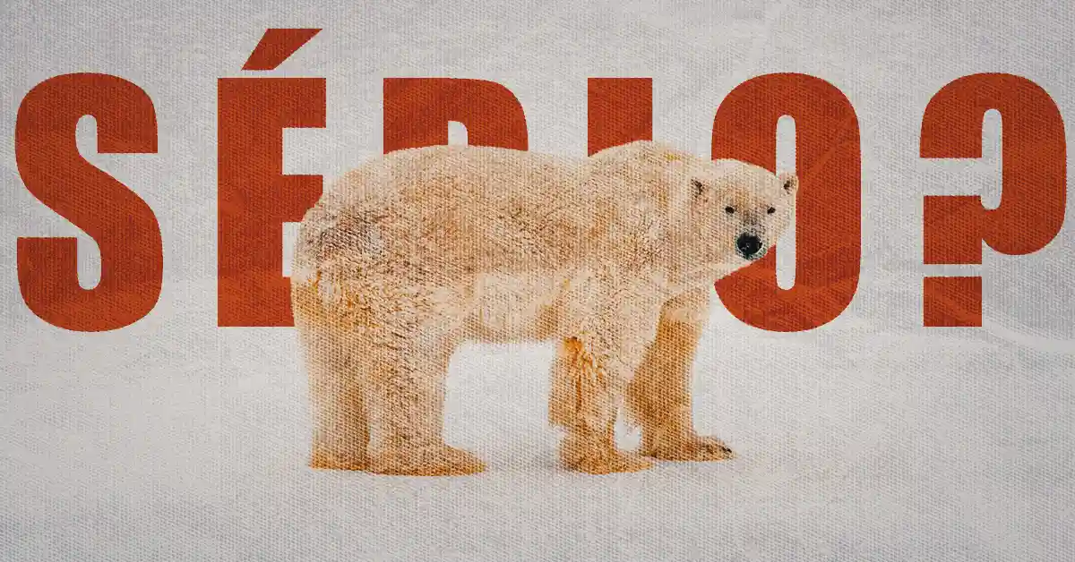 Carne de Urso Polar é Comestível? Descubra a Verdade