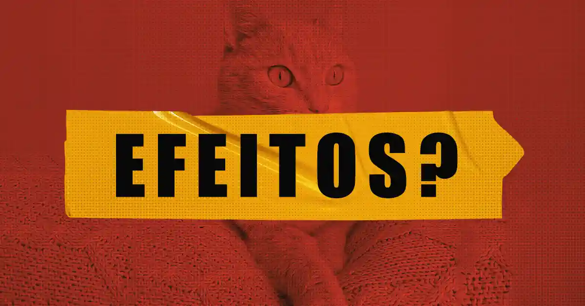 Gato pode Tomar Paroxetina? Descubra a Verdade!