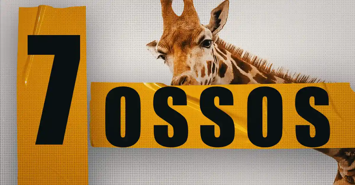 Girafas: 7 ossos no pescoço? Descubra!