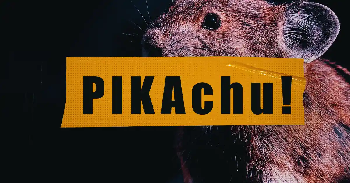 PIKA: o Coelho Montanhês que você precisa conhecer!