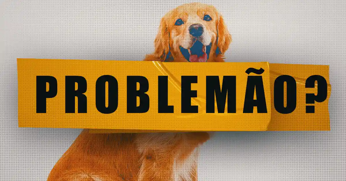 Problemas de pele em Golden Retrievers: causas e tratamentos