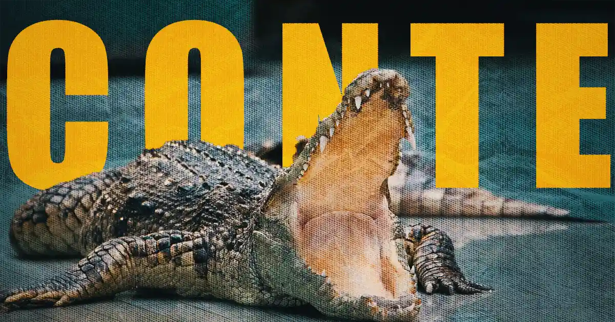 Quantos Dentes tem Crocodilo: Fatos Surpreendentes Revelados