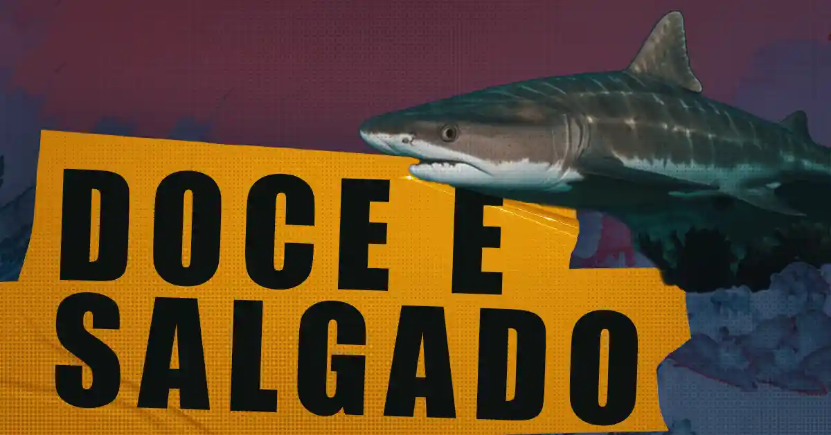 Tubarão cabeça-chata: Mistério dos rios e oceanos!